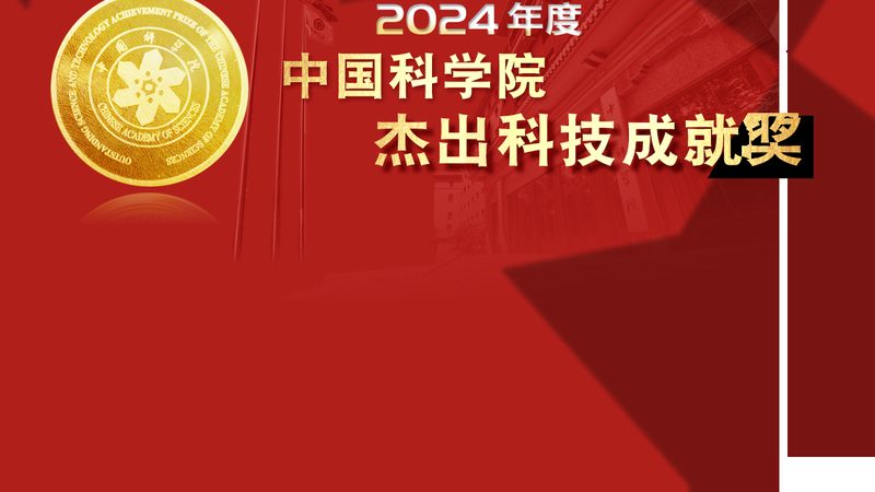 企业搜索安全配置：如何构建高效且安全的搜索解决方案**